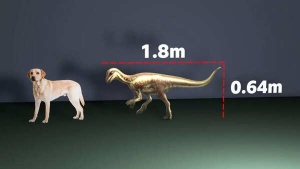 Scientists Unearth Dog-Sized Dinosaur Species That Lived Among Giants