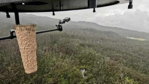 Hawaii Deploys Drone Mosquitoes in Desperate Bid to Save Endangered Birds