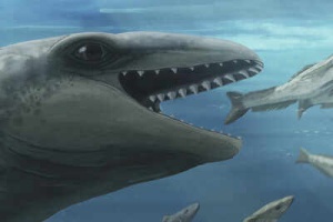 Tiêu đề:
Prehistoric 'Nightmare Muppet' Whale Fossil Discovered in Australia Offers Clues to Evolution