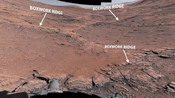Curiosity rover explores boxwork formations on Mount Sharp.