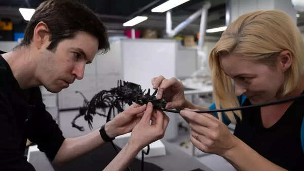 Scientists studying the fossil of the newly discovered dinosaur.