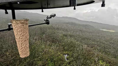 Drone releasing mosquitoes over Hawaiian forest