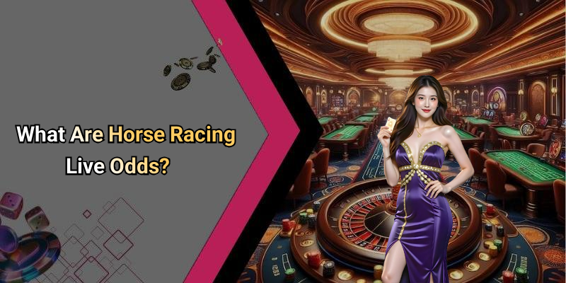 Horse Racing Live Odds Tvg: The Ultimate Guide To Understanding And Utilizing Live Odds