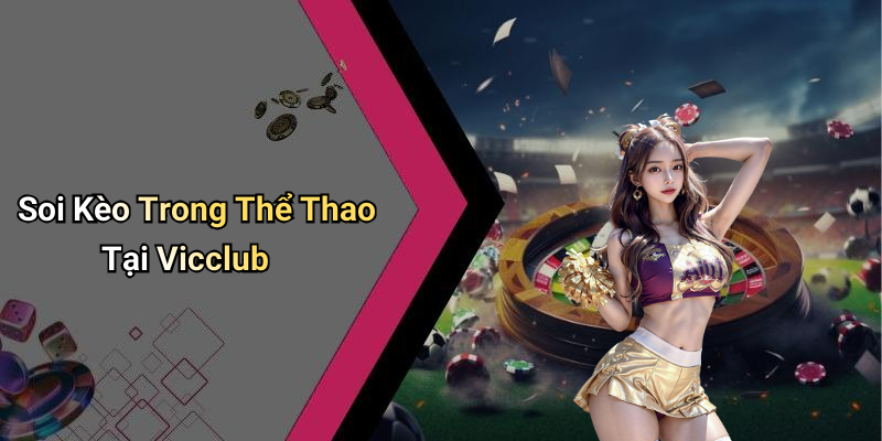 Vicclub Betting Tips: All the Information You Need to Know