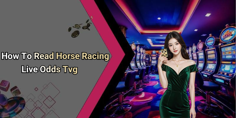 How To Read Horse Racing Live Odds Tvg