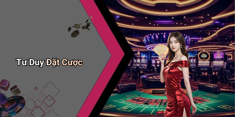 Tư Duy Đặt Cược